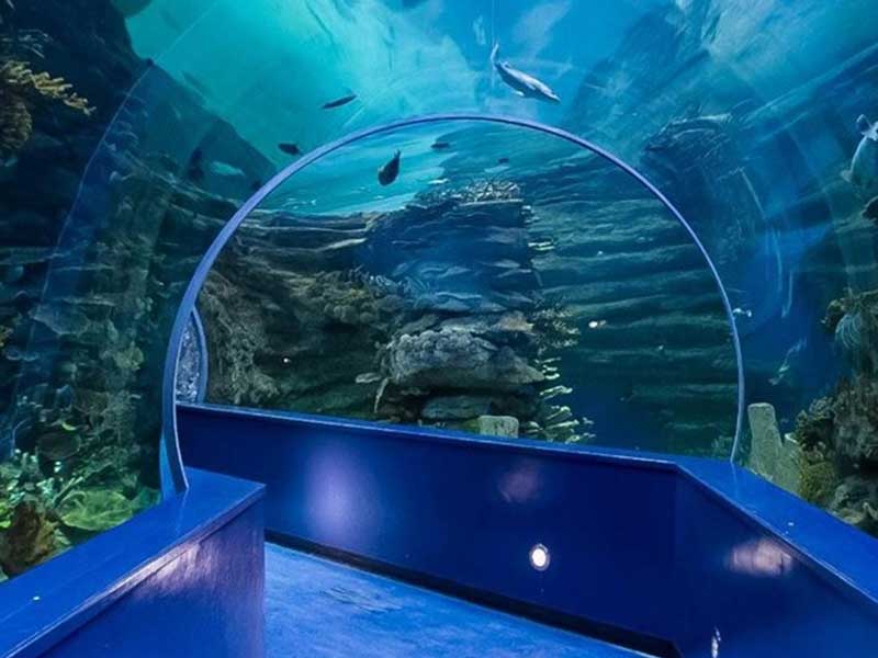 Sharjah Aquarium 